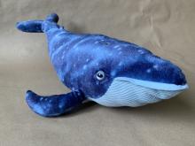 Monte, the library mascot, is a stuffed blue whale